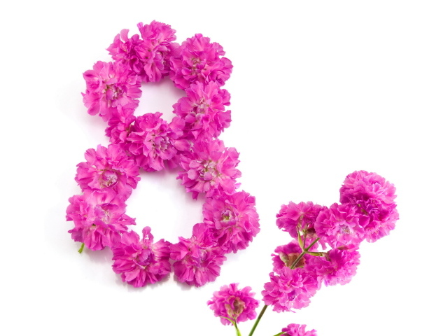 Восьмерка из розовых цветов гвоздики на Международный женский день 8 марта