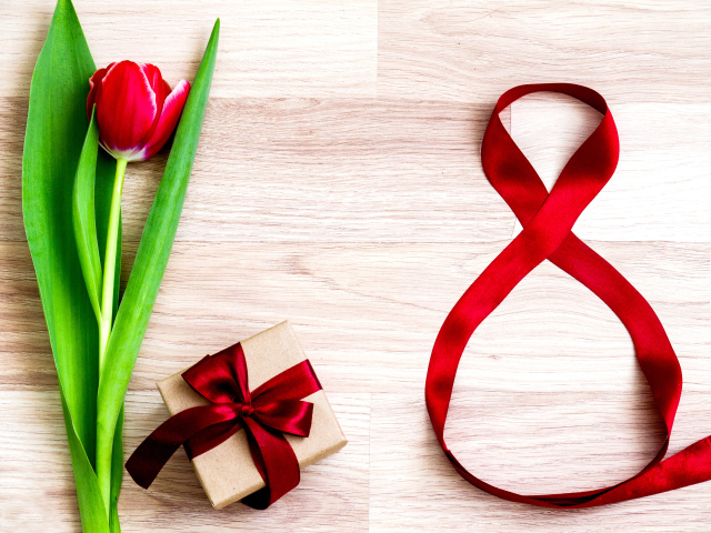 Тюльпан и подарок с лентой на Международный женский день 8 марта