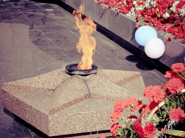 Красные гвоздики у вечного огня на День Победы 9 мая