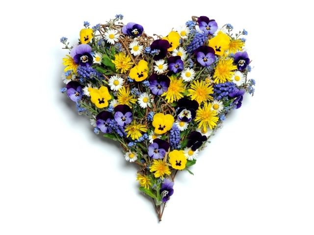 Сердце из полевых цветов на белом фоне