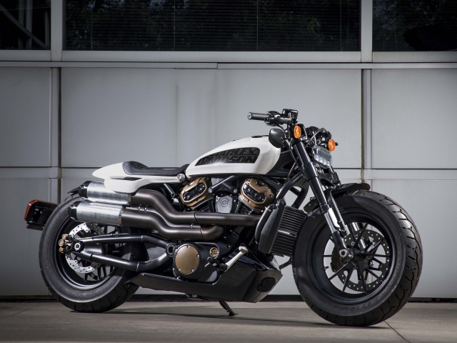 Мотоцикл Harley-Davidson Custom, 2020