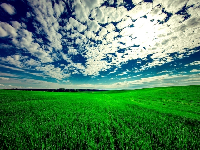 Красивые белые облака в голубом небе над зеленым полем
