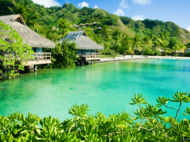 Дома на сваях на зеленом тропическом пляже