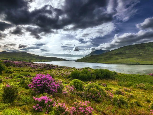 Река с зелеными берегами под красивым небом, Ирландия