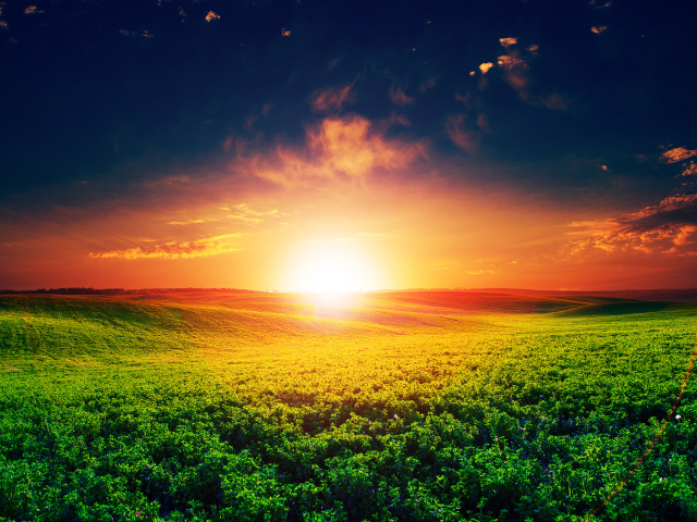 Восход яркого летнего солнца над полем