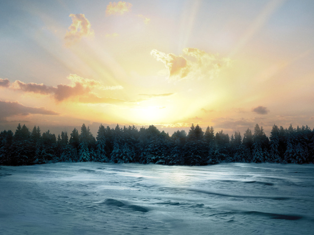 Восход солнца над заснеженным лесом