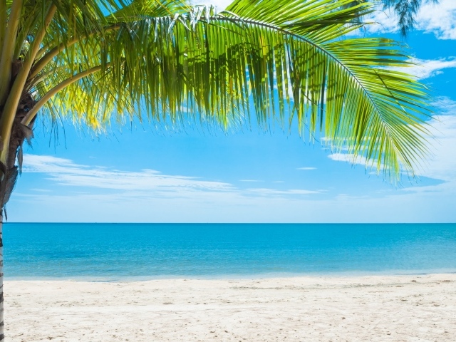 Красивый тропический пляж под голубым небом 