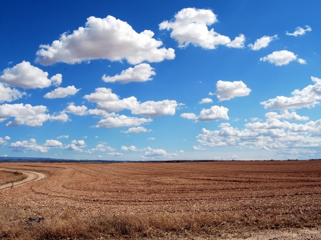 Белые пушистые облака в голубом небе над полем осенью 