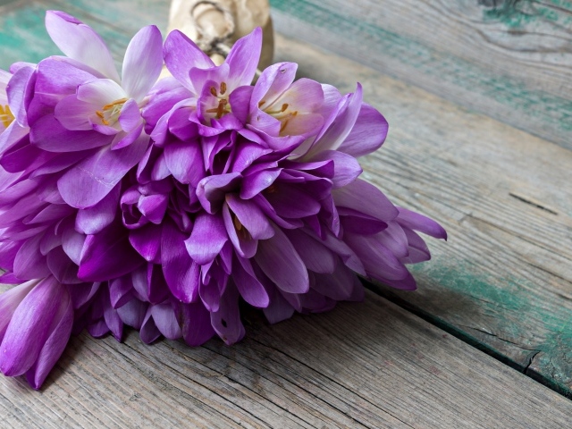 Букет весенних цветов фиолетовых крокусов лежит на деревянном столе