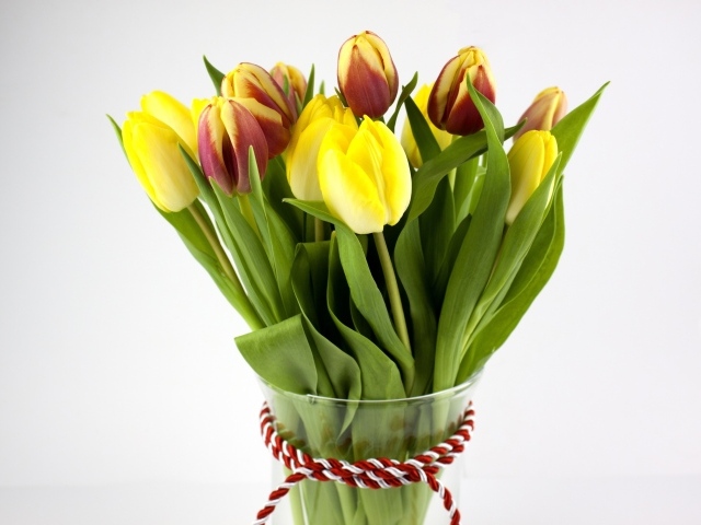 Букет желтых и красно-желтых тюльпанов на сером фоне