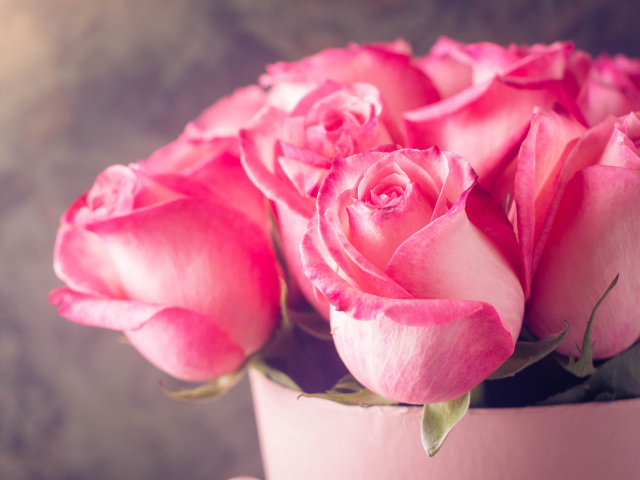 Красивый букет нежных розовых роз крупным планом