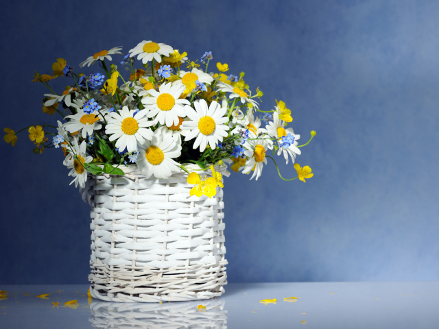 Красивые нежные ромашки и незабудки в плетеной вазе