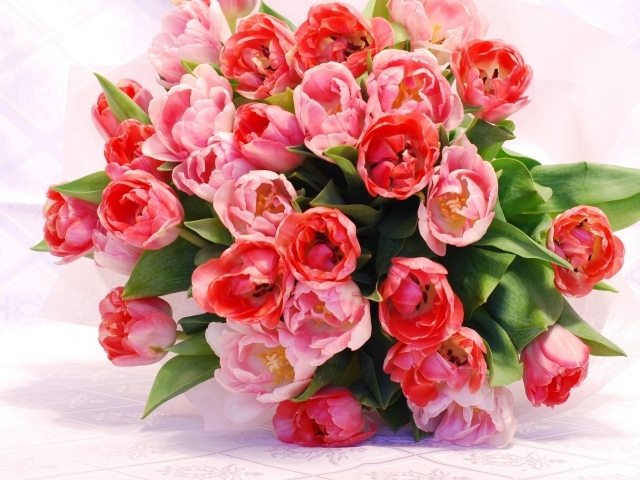 Большой красивый букет розовых тюльпанов крупным планом