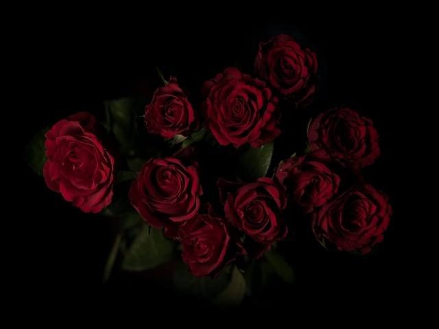Букет красивых бордовых роз на черном фоне