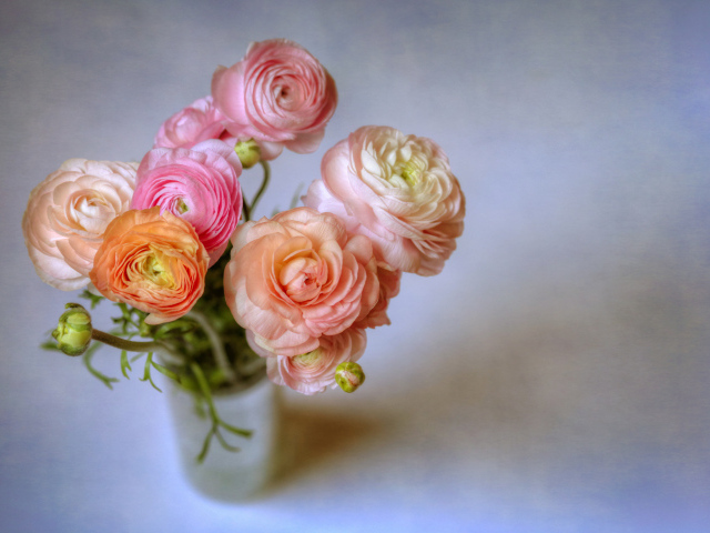 Букет лютиков в вазе на сером фоне