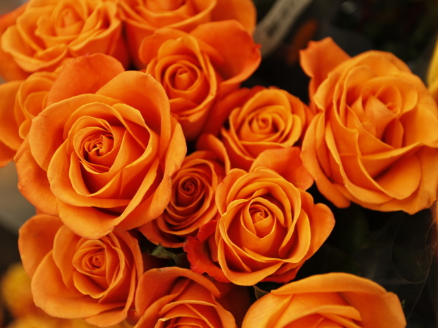 Букет оранжевых роз крупным планом