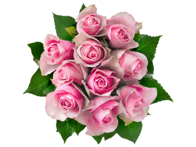 Букет розовых роз на белом фоне вид сверху