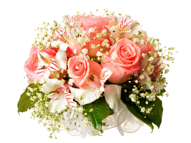 Букет из розовых роз с цветами альстрёмерия на белом фоне