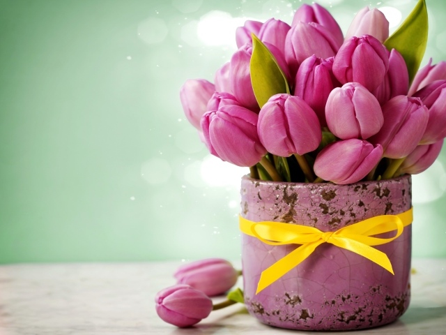 Букет розовых тюльпанов в горшке с желтым бантом