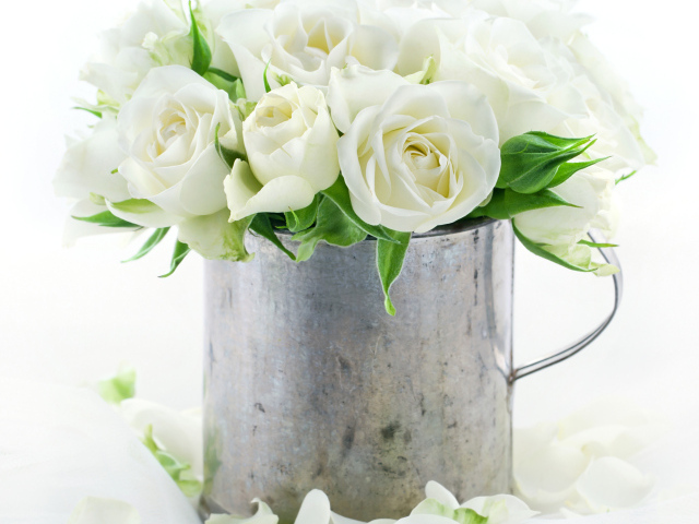 Букет белых роз в железной кружке на белом фоне