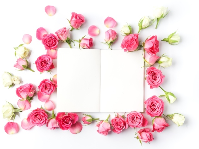 Розовые розы с белым листом, шаблон для открытки