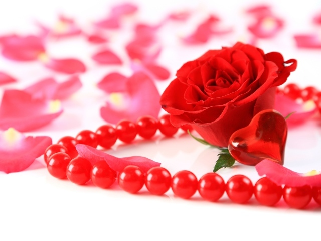 Красная роза с бусами и маленьким красным сердечком