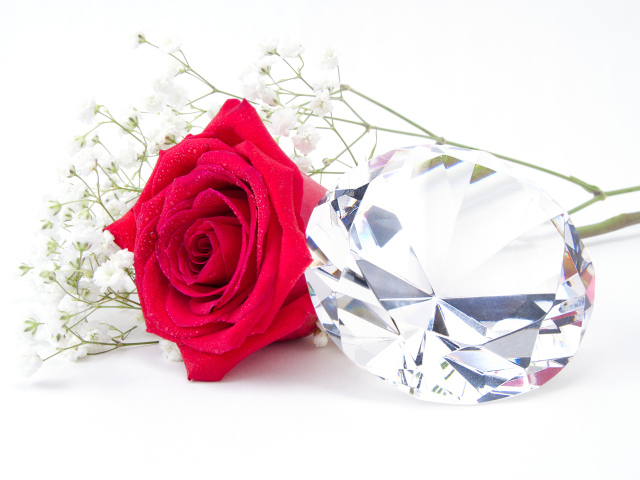 Красная роза с большим бриллиантом на белом фоне