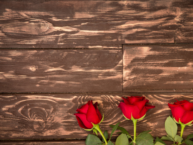 Три красные розы на деревянном фоне