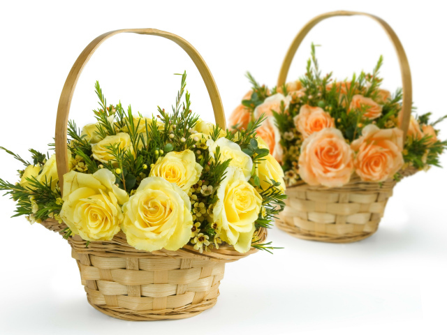 Желтые и оранжевые розы в корзинках на белом фоне