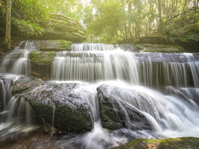 Лесной водопад стекает по камням