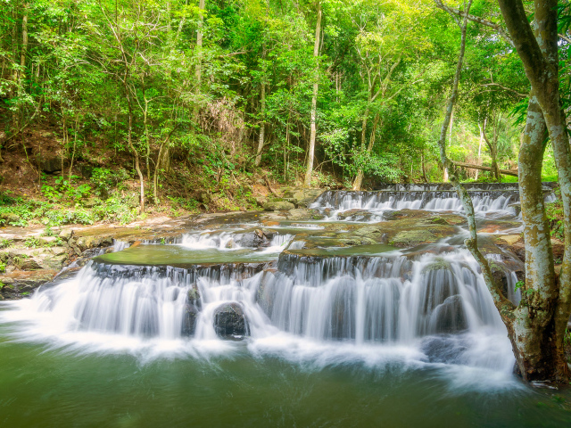 Быстрый лесной маленький водопад 