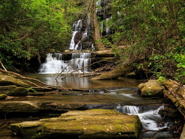 Водопад стекает по камням в лесу