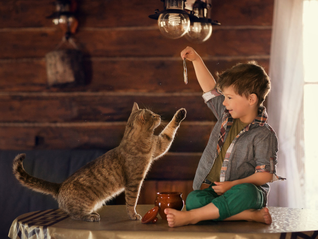 Маленький мальчик дразнит рыбой серого кота