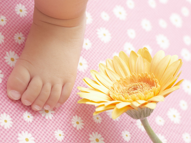 Маленькая ножка новорожденного с цветком герберы