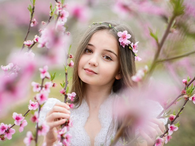 Красивая кареглазая девочка с розовыми цветами на дереве