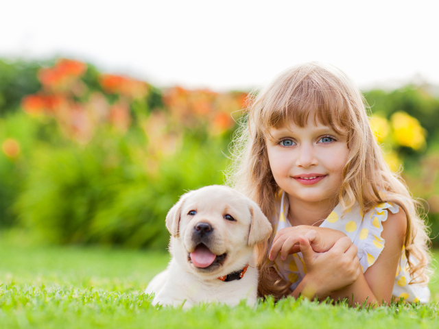 Милая маленькая девочка с щенком золотистого ретривера лежит на зеленой траве