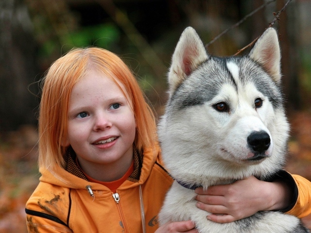 Маленькая рыжеволосая девочка с собакой породы хаски
