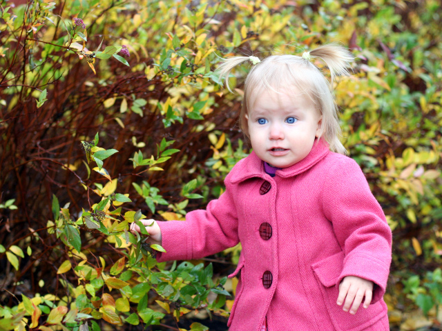 Маленькая голубоглазая девочка в розовом пальто