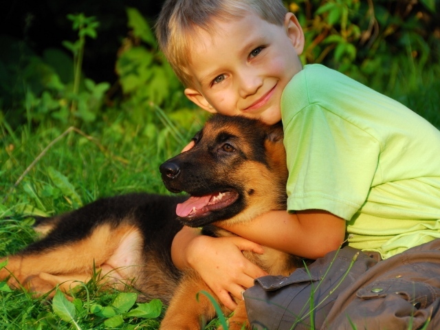 Маленький мальчик обнимает щенка немецкой овчарки