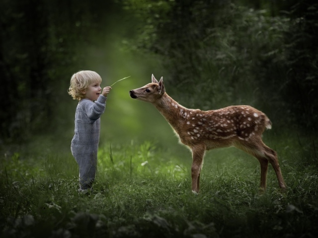 Маленький мальчик с оленем в лесу
