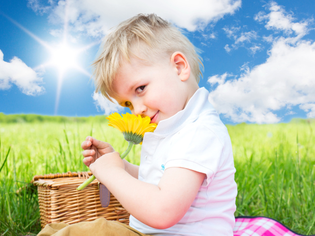 Маленький мальчик с цветком герберы на фоне голубого неба