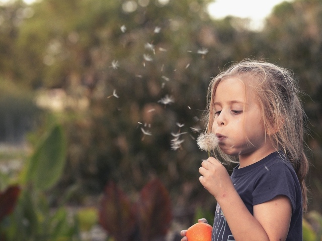 Маленькая девочка с одуванчиком в руках 