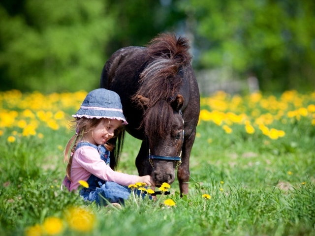 Маленькая девочка с пони сидит на поле с одуванчиками