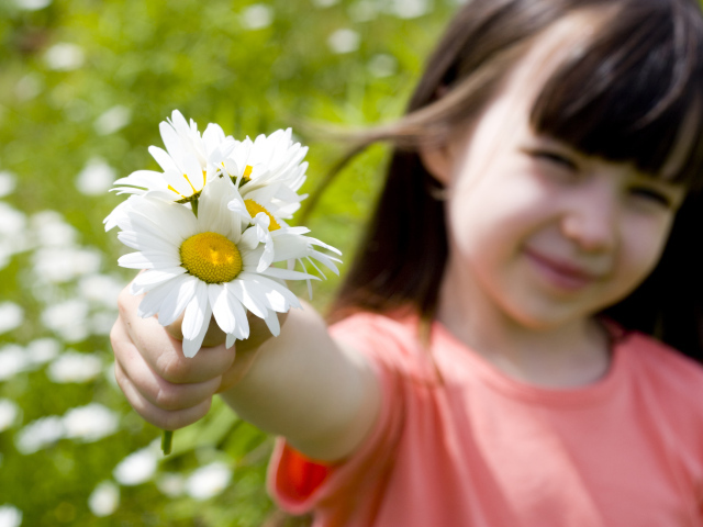 Маленькая девочка с ромашками в руке