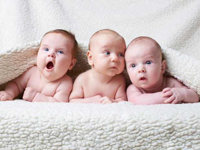 Три младенца под белым теплым одеялом