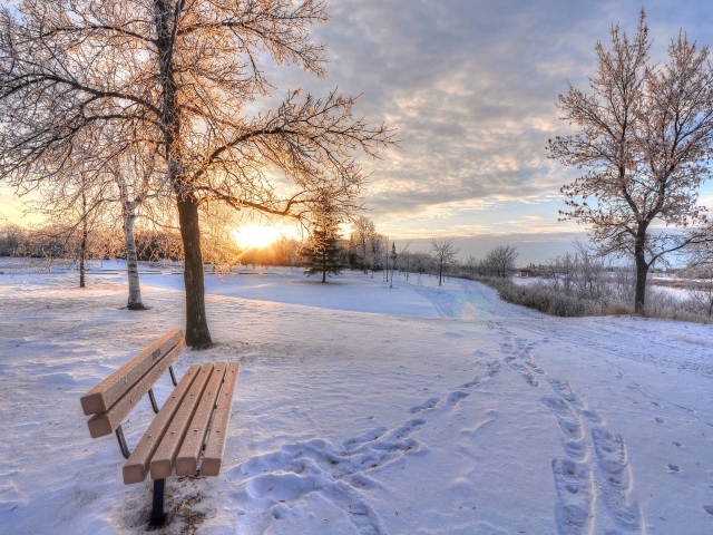 Лавка в парке морозным зимним утром
