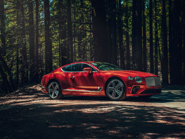 Красный автомобиль Bentley Continental GT V8, 2020 года в лесу