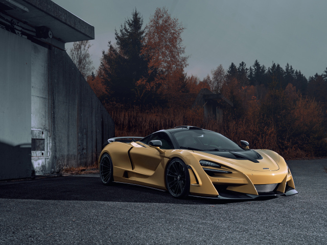 Дорогой автомобиль McLaren 720S у железных ворот