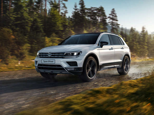 Серебристый внедорожник Volkswagen Tiguan на фоне леса 