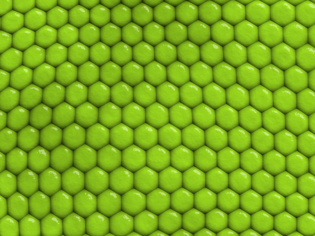 Зеленый фон соты крупным планом